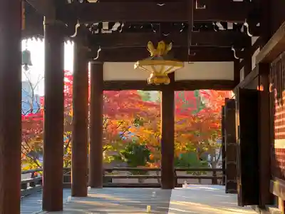 妙顯寺（妙顕寺）のその他建物
