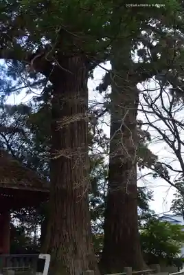 宝城坊(神奈川県)