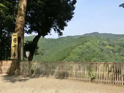 吉水神社の景色