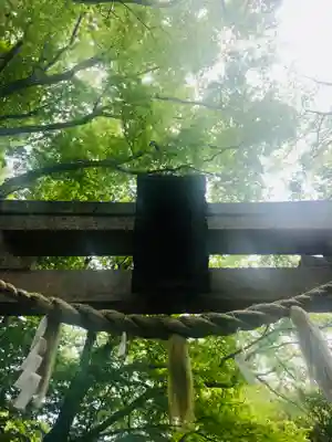 小金井神社の鳥居