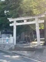 滝野川八幡神社の鳥居