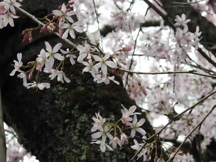 水火天満宮(京都府)