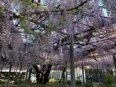 竹鼻別院の自然