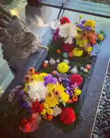 滑川神社 - 仕事と子どもの守り神の手水舎