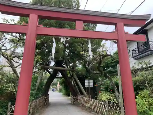 荏柄天神社の鳥居