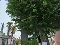 求浄庵(岐阜県)