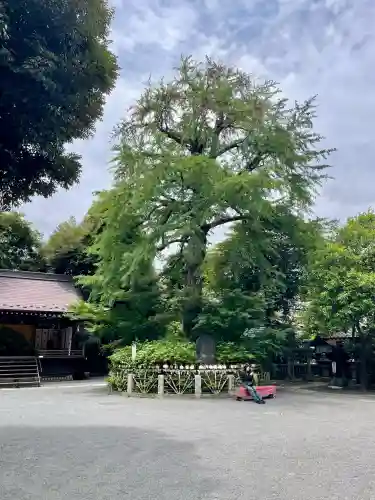 七社神社(東京都)