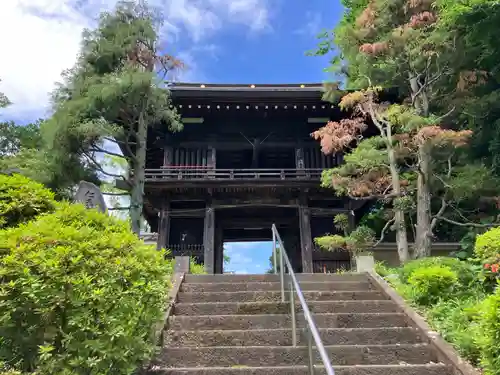 圓乗院(東京都)