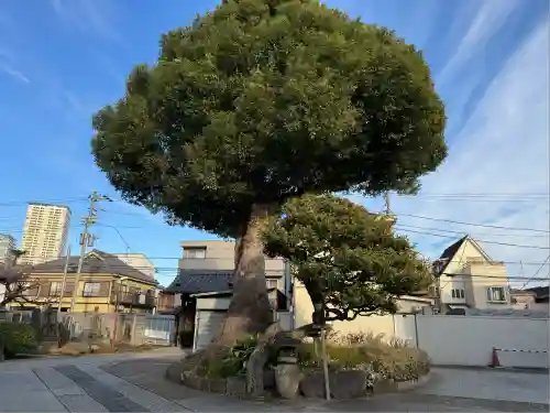 観音寺(東京都)