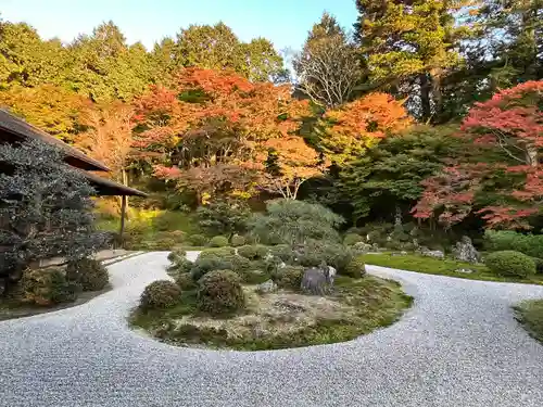 曼殊院門跡(京都府)