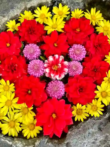 伊達神社の手水舎