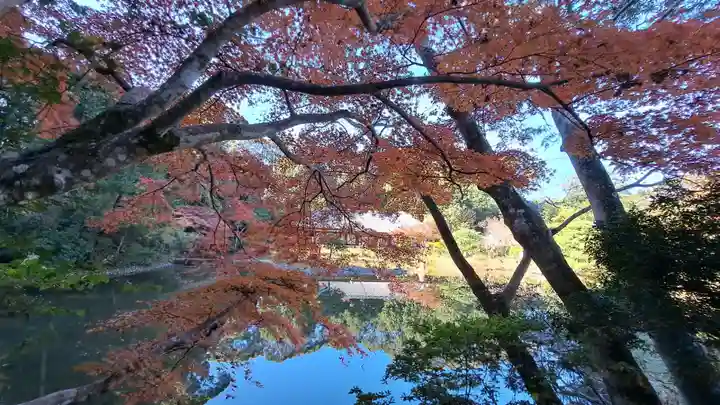 浄瑠璃寺(京都府)