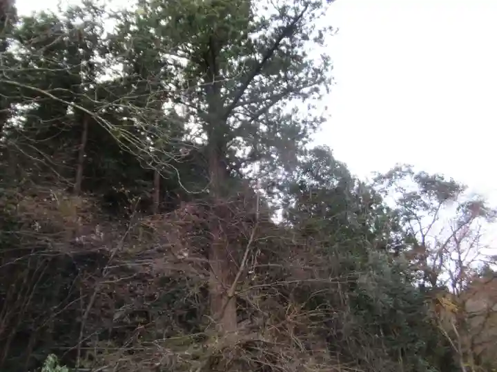 高原社(東京都)