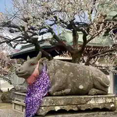 北野天満宮(京都府)