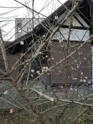 第六天神社の自然