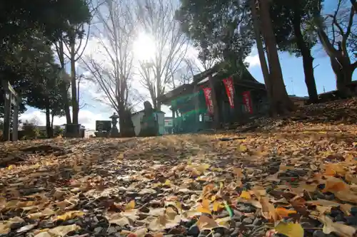 熊野福藏神社の景色