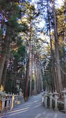 三峯神社(埼玉県)