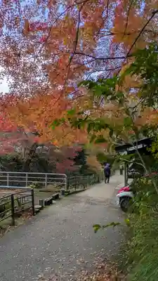 服部神社(京都府)