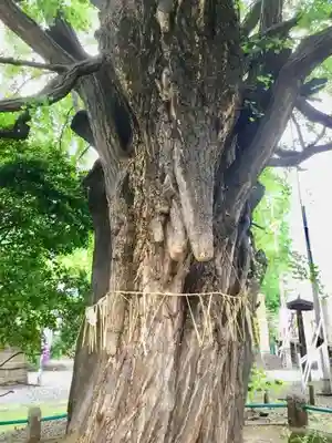 磐井神社のその他建物
