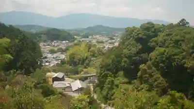 岡寺(龍蓋寺)(奈良県)