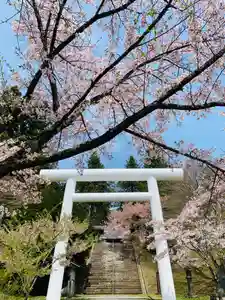 土津神社|こどもと出世の神さまの鳥居(2020年05月03日(日) 11時38分25秒投稿)