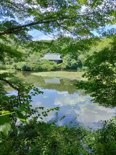 龍安寺(京都府)