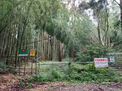 琴平神社の周辺