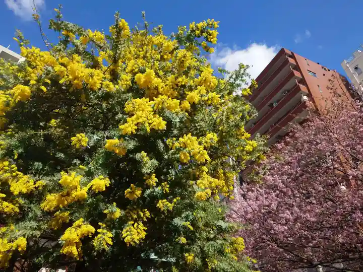 蔵前神社(東京都)