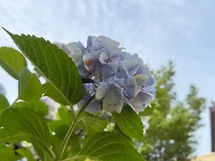 西方山極楽寺(岐阜県)