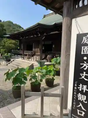建長寺の{uncategorized: "未分類", other: "その他", undefined: "問題あり", building: "その他建物", grave: "お墓", sacred_gate: "鳥居", guardian: "狛犬", statue: "像", buddha: "仏像", history: "歴史", nature: "自然", garden: "庭園", animal: "動物", pagoda: "塔", temizu: "手水舎", mountain_gate: "山門・神門", sanctuary: "本殿・本堂", subordinate: "末社・摂社", art: "芸術", scenery: "景色", jizo: "地蔵", ema: "絵馬", goshuin: "御朱印", omikuji: "おみくじ", items: "授与品その他", amulet: "お守り", goshuincho: "御朱印帳", eats: "食事", festival: "お祭り", votive_dance: "神楽", shichigosan: "七五三参", wedding: "結婚式", experience: "体験その他", initially: "初詣", around: "周辺", anti_infection: "感染症対策"}