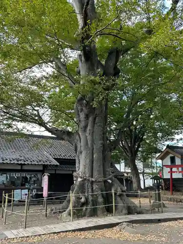 白鳥神社(長野県)