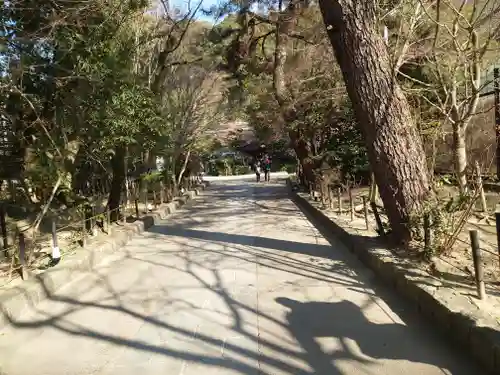 宇治上神社の庭園