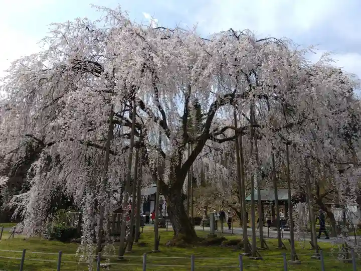 足羽神社(福井県)