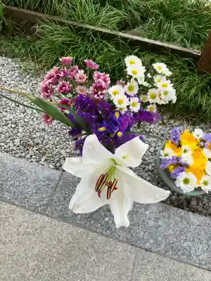 埼玉厄除け開運大師・龍泉寺（切り絵御朱印発祥の寺）の{uncategorized: "未分類", other: "その他", undefined: "問題あり", building: "その他建物", grave: "お墓", sacred_gate: "鳥居", guardian: "狛犬", statue: "像", buddha: "仏像", history: "歴史", nature: "自然", garden: "庭園", animal: "動物", pagoda: "塔", temizu: "手水舎", mountain_gate: "山門・神門", sanctuary: "本殿・本堂", subordinate: "末社・摂社", art: "芸術", scenery: "景色", jizo: "地蔵", ema: "絵馬", goshuin: "御朱印", omikuji: "おみくじ", items: "授与品その他", amulet: "お守り", goshuincho: "御朱印帳", eats: "食事", festival: "お祭り", votive_dance: "神楽", shichigosan: "七五三参", wedding: "結婚式", experience: "体験その他", initially: "初詣", around: "周辺", anti_infection: "感染症対策"}