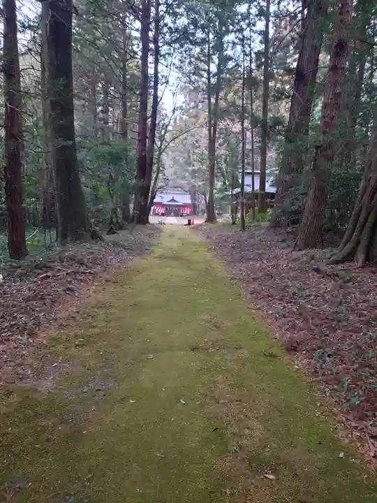 大井神社(太郎神社)(茨城県)