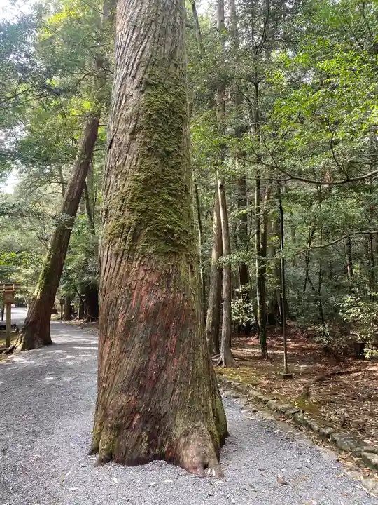 瀧原宮(皇大神宮別宮)(三重県)