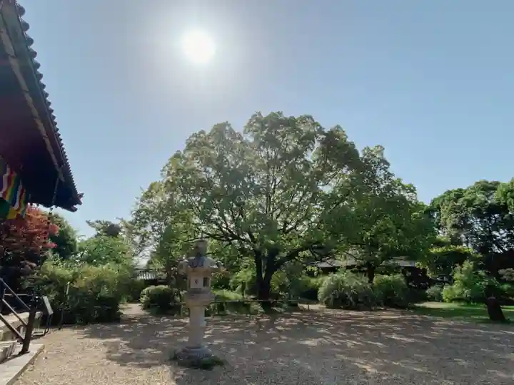 海龍王寺(奈良県)