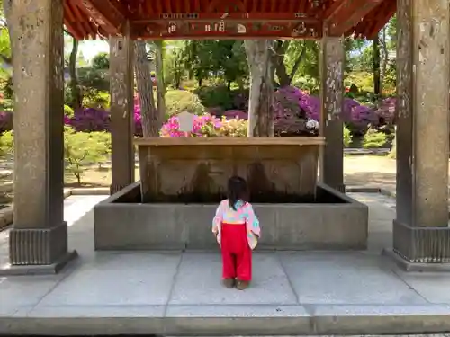 根津神社の手水