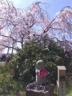 宝泉寺(京都府)