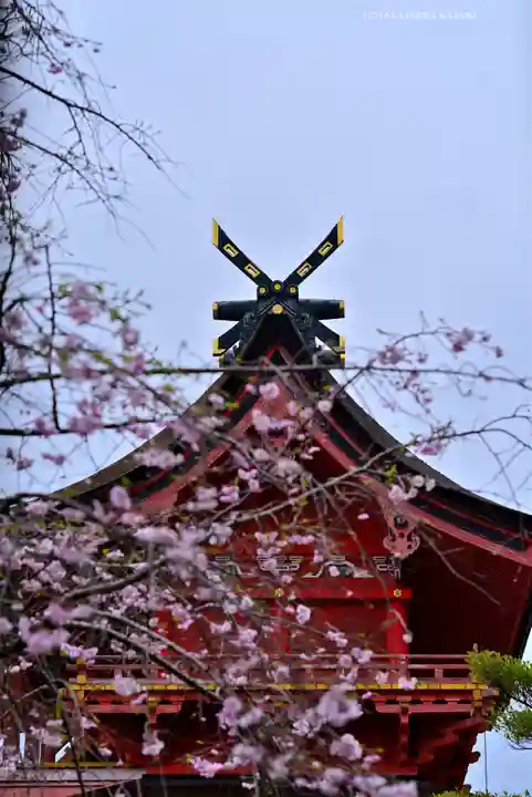 富士山本宮浅間大社(静岡県)