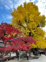 清荒神清澄寺の自然