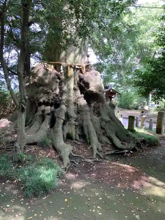 沓掛香取神社のその他建物