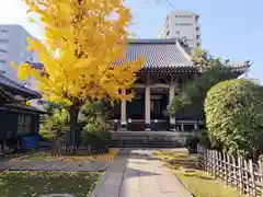 報恩寺(東京都)