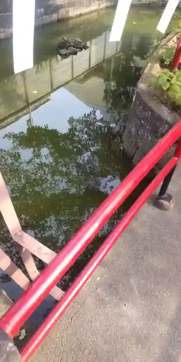 磐井神社(東京都)