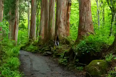 戸隠神社奥社(長野県)
