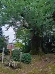 松尾寺(京都府)