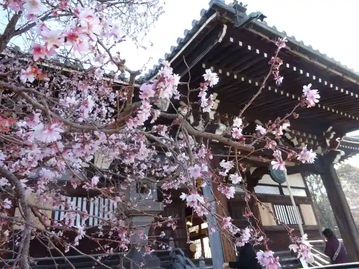 妙蓮寺(神奈川県)