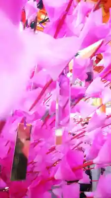 母衣のお花🌸