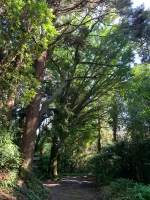 宇迦神社(千葉県)