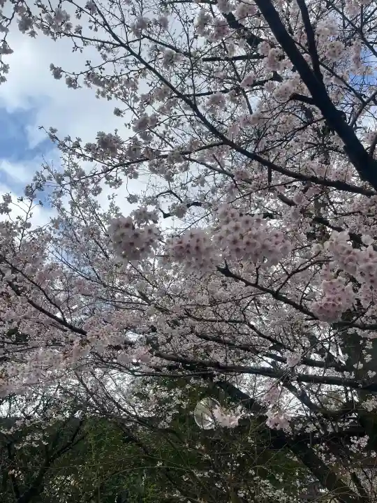 阿佐ヶ谷神明宮の{uncategorized: "未分類", other: "その他", undefined: "問題あり", building: "その他建物", grave: "お墓", sacred_gate: "鳥居", guardian: "狛犬", statue: "像", buddha: "仏像", history: "歴史", nature: "自然", garden: "庭園", animal: "動物", pagoda: "塔", temizu: "手水舎", mountain_gate: "山門・神門", sanctuary: "本殿・本堂", subordinate: "末社・摂社", art: "芸術", scenery: "景色", jizo: "地蔵", ema: "絵馬", goshuin: "御朱印", omikuji: "おみくじ", items: "授与品その他", amulet: "お守り", goshuincho: "御朱印帳", eats: "食事", festival: "お祭り", votive_dance: "神楽", shichigosan: "七五三参", wedding: "結婚式", experience: "体験その他", initially: "初詣", around: "周辺", anti_infection: "感染症対策"}